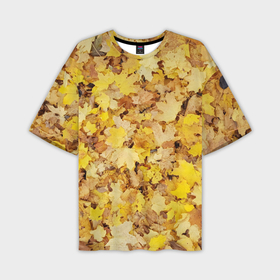 Мужская футболка oversize 3D с принтом Осенние листья на земле в Санкт-Петербурге,  |  | 
