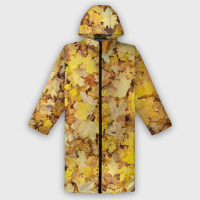 Мужской дождевик 3D с принтом Осенние листья на земле в Кировске,  |  | 