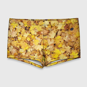 Мужские купальные плавки 3D с принтом Осенние листья на земле в Курске, Полиэстер 85%, Спандекс 15% |  | 