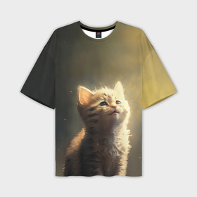 Мужская футболка oversize 3D с принтом Радостный котёнок в солнечных лучах в Кировске,  |  | Тематика изображения на принте: 