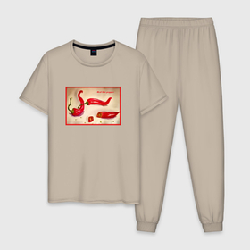 Мужская пижама хлопок с принтом Красный острый перец в Тюмени, 100% хлопок | брюки и футболка прямого кроя, без карманов, на брюках мягкая резинка на поясе и по низу штанин
 | Тематика изображения на принте: 