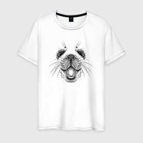 Мужская футболка хлопок с принтом Морда морского котика в Новосибирске, 100% хлопок | прямой крой, круглый вырез горловины, длина до линии бедер, слегка спущенное плечо. | 