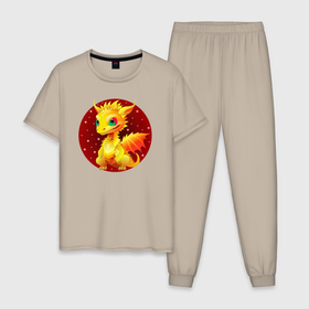 Мужская пижама хлопок с принтом Дракон знак зодиака , 100% хлопок | брюки и футболка прямого кроя, без карманов, на брюках мягкая резинка на поясе и по низу штанин
 | Тематика изображения на принте: 