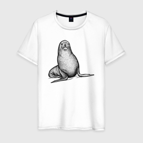 Мужская футболка хлопок с принтом Морской котик недоволен в Новосибирске, 100% хлопок | прямой крой, круглый вырез горловины, длина до линии бедер, слегка спущенное плечо. | Тематика изображения на принте: 