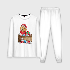 Мужская пижама с лонгсливом хлопок с принтом Песик в коробке с подарками в Тюмени,  |  | 