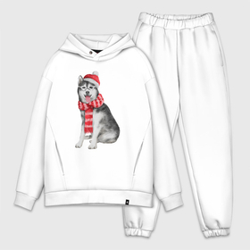 Мужской костюм oversize хлопок с принтом Новогодний хаски в Ухте,  |  | 