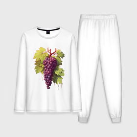 Мужская пижама с лонгсливом хлопок с принтом Гроздь фиолетового винограда ,  |  | Тематика изображения на принте: 