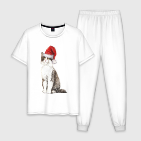 Мужская пижама хлопок с принтом Пятнистый кот в новогодней шапочке в Новосибирске, 100% хлопок | брюки и футболка прямого кроя, без карманов, на брюках мягкая резинка на поясе и по низу штанин
 | 