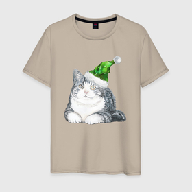 Мужская футболка хлопок с принтом Котик в зеленой новогодней шапке в Санкт-Петербурге, 100% хлопок | прямой крой, круглый вырез горловины, длина до линии бедер, слегка спущенное плечо. | Тематика изображения на принте: 