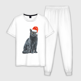 Мужская пижама хлопок с принтом Серый новогодний котик в Екатеринбурге, 100% хлопок | брюки и футболка прямого кроя, без карманов, на брюках мягкая резинка на поясе и по низу штанин
 | 