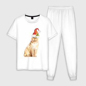 Мужская пижама хлопок с принтом Рыжий пушистый кот в Петрозаводске, 100% хлопок | брюки и футболка прямого кроя, без карманов, на брюках мягкая резинка на поясе и по низу штанин
 | Тематика изображения на принте: 