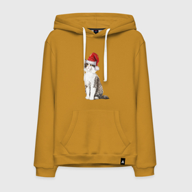 Мужская толстовка хлопок с принтом Кот  в новогодней шапочке в Ухте, френч-терри, мягкий теплый начес внутри (100% хлопок) | карман-кенгуру, эластичные манжеты и нижняя кромка, капюшон с подкладом и шнурком | 