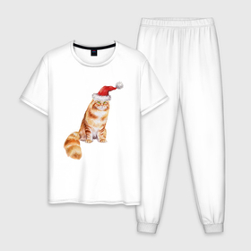 Мужская пижама хлопок с принтом Рыжий пушистый   кот в Петрозаводске, 100% хлопок | брюки и футболка прямого кроя, без карманов, на брюках мягкая резинка на поясе и по низу штанин
 | 