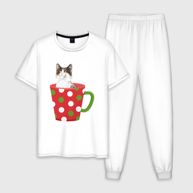 Мужская пижама хлопок с принтом Кот в  новогодней  кружке в Екатеринбурге, 100% хлопок | брюки и футболка прямого кроя, без карманов, на брюках мягкая резинка на поясе и по низу штанин
 | 