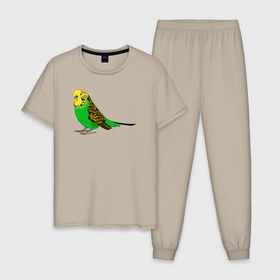 Мужская пижама хлопок с принтом Красивый попугайчик в Санкт-Петербурге, 100% хлопок | брюки и футболка прямого кроя, без карманов, на брюках мягкая резинка на поясе и по низу штанин
 | Тематика изображения на принте: 