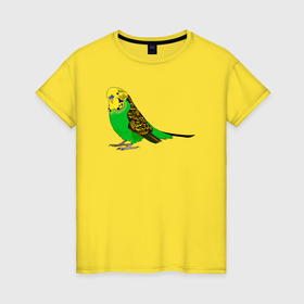 Женская футболка хлопок с принтом Красивый попугайчик в Петрозаводске, 100% хлопок | прямой крой, круглый вырез горловины, длина до линии бедер, слегка спущенное плечо | 