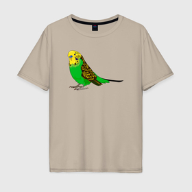 Мужская футболка хлопок Oversize с принтом Красивый попугайчик в Курске, 100% хлопок | свободный крой, круглый ворот, “спинка” длиннее передней части | 