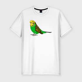Мужская футболка хлопок Slim с принтом Красивый попугайчик в Санкт-Петербурге, 92% хлопок, 8% лайкра | приталенный силуэт, круглый вырез ворота, длина до линии бедра, короткий рукав | Тематика изображения на принте: 