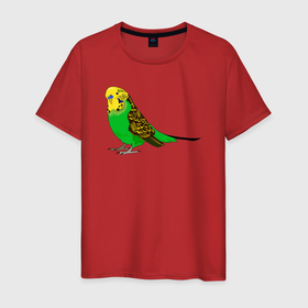Мужская футболка хлопок с принтом Красивый попугайчик в Санкт-Петербурге, 100% хлопок | прямой крой, круглый вырез горловины, длина до линии бедер, слегка спущенное плечо. | Тематика изображения на принте: 