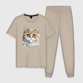 Мужская пижама хлопок с принтом Котик маслом в Курске, 100% хлопок | брюки и футболка прямого кроя, без карманов, на брюках мягкая резинка на поясе и по низу штанин
 | 