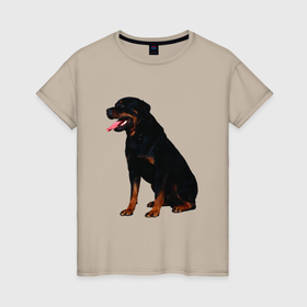Женская футболка хлопок с принтом Rottweiler в Белгороде, 100% хлопок | прямой крой, круглый вырез горловины, длина до линии бедер, слегка спущенное плечо | 