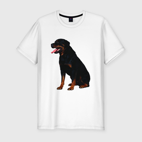 Мужская футболка хлопок Slim с принтом Rottweiler в Белгороде, 92% хлопок, 8% лайкра | приталенный силуэт, круглый вырез ворота, длина до линии бедра, короткий рукав | 