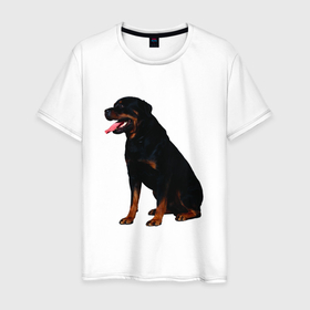 Мужская футболка хлопок с принтом Rottweiler в Белгороде, 100% хлопок | прямой крой, круглый вырез горловины, длина до линии бедер, слегка спущенное плечо. | 