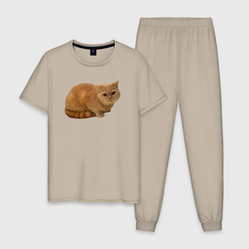 Мужская пижама хлопок с принтом Оранжевый котик отдыхает в Петрозаводске, 100% хлопок | брюки и футболка прямого кроя, без карманов, на брюках мягкая резинка на поясе и по низу штанин
 | 