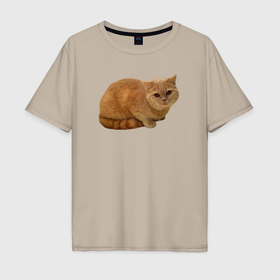 Мужская футболка хлопок Oversize с принтом Оранжевый котик отдыхает в Екатеринбурге, 100% хлопок | свободный крой, круглый ворот, “спинка” длиннее передней части | 