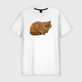 Мужская футболка хлопок Slim с принтом Оранжевый котик отдыхает в Тюмени, 92% хлопок, 8% лайкра | приталенный силуэт, круглый вырез ворота, длина до линии бедра, короткий рукав | 