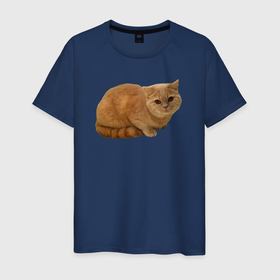 Мужская футболка хлопок с принтом Оранжевый котик отдыхает в Белгороде, 100% хлопок | прямой крой, круглый вырез горловины, длина до линии бедер, слегка спущенное плечо. | 