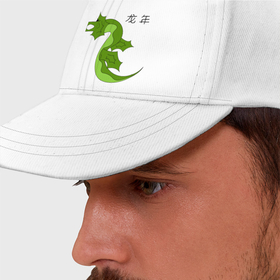 Бейсболка с принтом Символ китайского нового года 2024 дракон , 100% хлопок | классический козырек, металлическая застежка-регулятор размера | Тематика изображения на принте: 