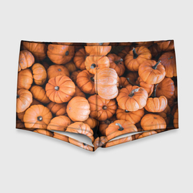 Мужские купальные плавки 3D с принтом Овощи тыквы в Курске, Полиэстер 85%, Спандекс 15% |  | Тематика изображения на принте: 