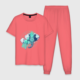 Мужская пижама хлопок с принтом Голова слонов , 100% хлопок | брюки и футболка прямого кроя, без карманов, на брюках мягкая резинка на поясе и по низу штанин
 | 