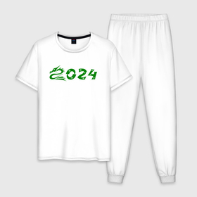 Мужская пижама хлопок с принтом Зеленый дракон 2024 деревянный в Екатеринбурге, 100% хлопок | брюки и футболка прямого кроя, без карманов, на брюках мягкая резинка на поясе и по низу штанин
 | Тематика изображения на принте: 