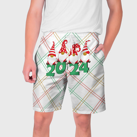 Мужские шорты 3D с принтом Новогодние гномы 2024 в Кировске,  полиэстер 100% | прямой крой, два кармана без застежек по бокам. Мягкая трикотажная резинка на поясе, внутри которой широкие завязки. Длина чуть выше колен | 