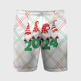 Мужские шорты спортивные с принтом Новогодние гномы 2024 в Новосибирске,  |  | 