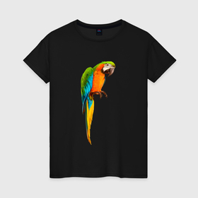Женская футболка хлопок с принтом Попугайчик интересно смотрит , 100% хлопок | прямой крой, круглый вырез горловины, длина до линии бедер, слегка спущенное плечо | 