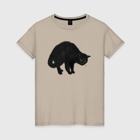 Женская футболка хлопок с принтом Чёрный котик что то обнаружил в Белгороде, 100% хлопок | прямой крой, круглый вырез горловины, длина до линии бедер, слегка спущенное плечо | Тематика изображения на принте: 