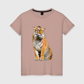 Женская футболка хлопок с принтом Тигр сидит в Курске, 100% хлопок | прямой крой, круглый вырез горловины, длина до линии бедер, слегка спущенное плечо | 