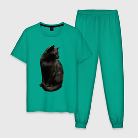 Мужская пижама хлопок с принтом Чёрный пушистый кот в Петрозаводске, 100% хлопок | брюки и футболка прямого кроя, без карманов, на брюках мягкая резинка на поясе и по низу штанин
 | Тематика изображения на принте: 