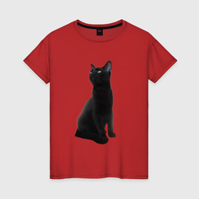 Женская футболка хлопок с принтом Чёрный котик смотрит вверх в Белгороде, 100% хлопок | прямой крой, круглый вырез горловины, длина до линии бедер, слегка спущенное плечо | Тематика изображения на принте: 