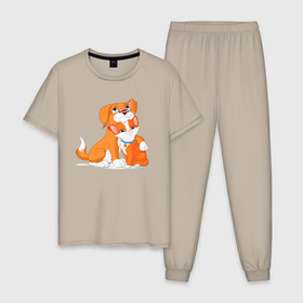 Мужская пижама хлопок с принтом Рыжие собачка и кошечка в Кировске, 100% хлопок | брюки и футболка прямого кроя, без карманов, на брюках мягкая резинка на поясе и по низу штанин
 | 