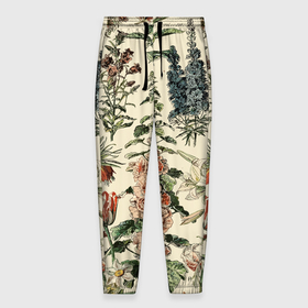 Мужские брюки 3D с принтом Цветочный гербарий из полевых цветов в Кировске, 100% полиэстер | манжеты по низу, эластичный пояс регулируется шнурком, по бокам два кармана без застежек, внутренняя часть кармана из мелкой сетки | 