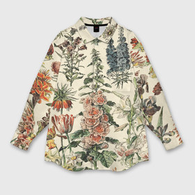 Мужская рубашка oversize 3D с принтом Цветочный гербарий из полевых цветов в Кировске,  |  | 