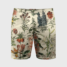 Мужские шорты спортивные с принтом Цветочный гербарий из полевых цветов в Кировске,  |  | 