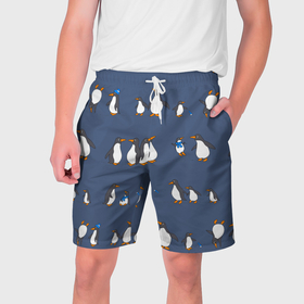 Мужские шорты 3D с принтом Забавное семейство пингвинов в Санкт-Петербурге,  полиэстер 100% | прямой крой, два кармана без застежек по бокам. Мягкая трикотажная резинка на поясе, внутри которой широкие завязки. Длина чуть выше колен | 