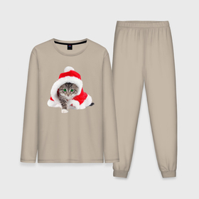 Мужская пижама с лонгсливом хлопок с принтом Котик Санта в новогоднем колпаке в Курске,  |  | Тематика изображения на принте: 