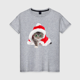 Женская футболка хлопок с принтом Котик Санта в новогоднем колпаке , 100% хлопок | прямой крой, круглый вырез горловины, длина до линии бедер, слегка спущенное плечо | 
