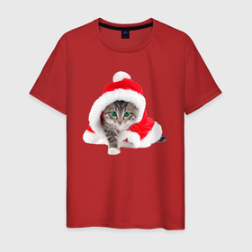 Мужская футболка хлопок с принтом Котик Санта в новогоднем колпаке в Курске, 100% хлопок | прямой крой, круглый вырез горловины, длина до линии бедер, слегка спущенное плечо. | Тематика изображения на принте: 